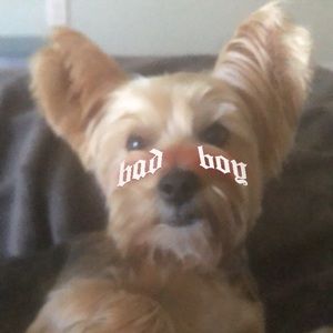 Meet your Posher, Aja